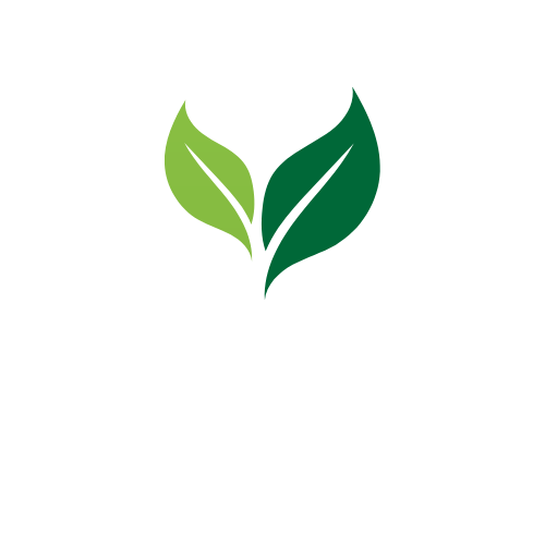 Verticaltaste srl